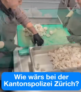 MEHR LESEN